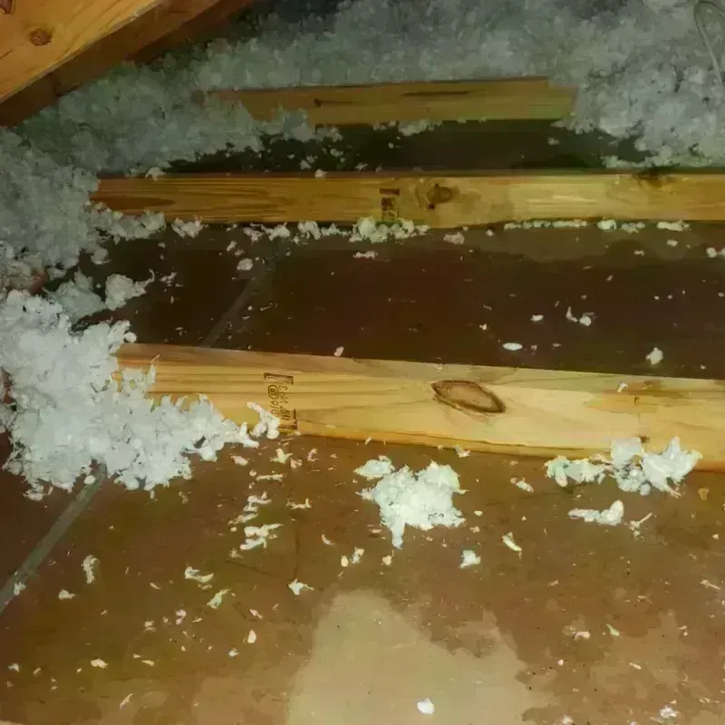 Attic Water Damage in Clark County, KS