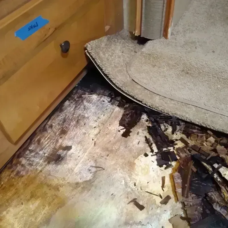 Wood Floor Water Damage in Clark County, KS